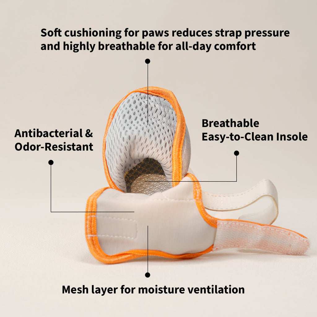 CityLuxury dog shoe cushioning, mesh and insole diagram