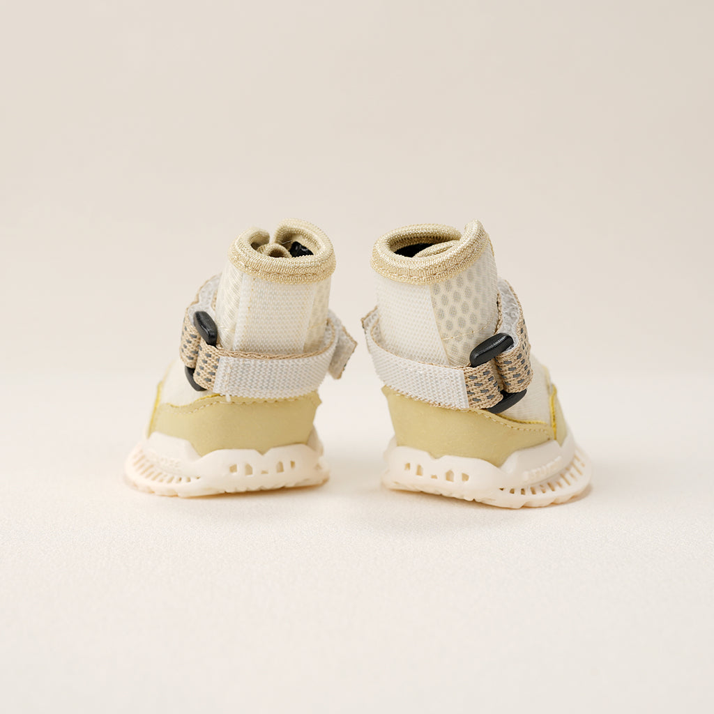 Pair of CityWalk dog shoes