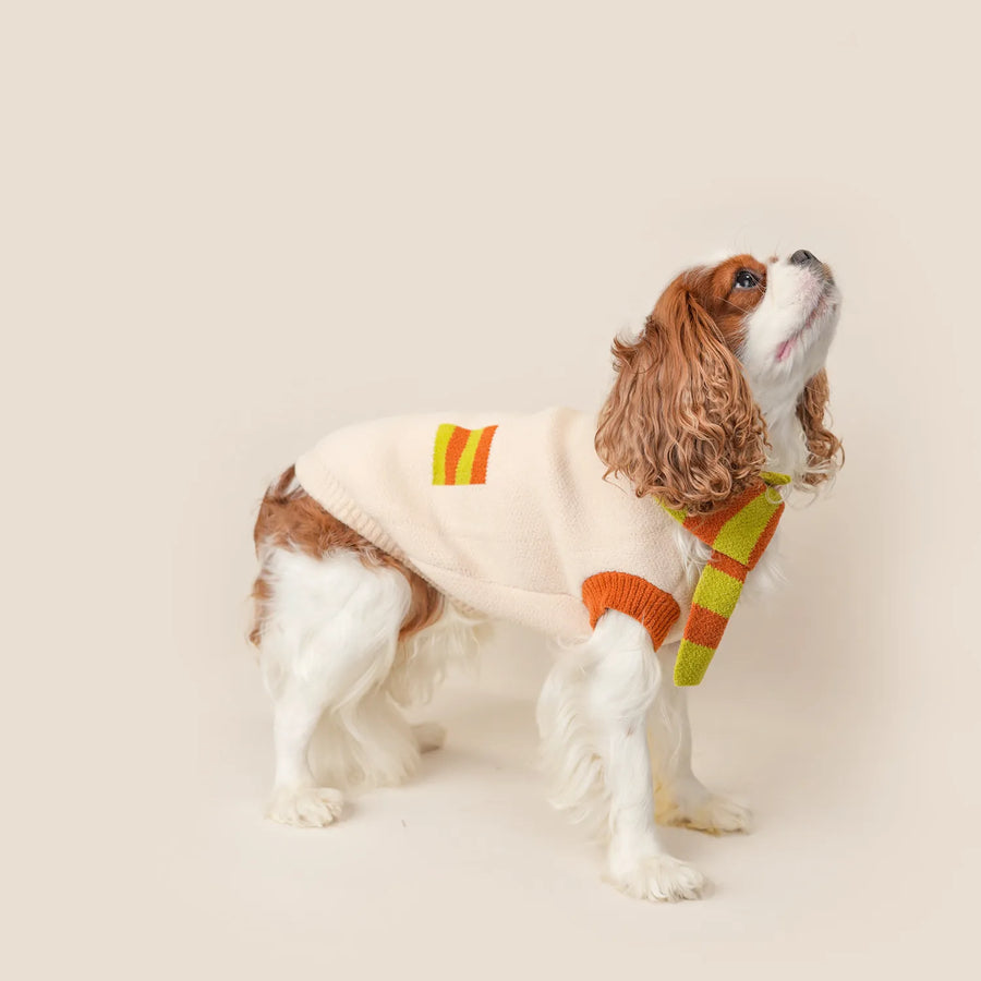 Set maglione morbido e sciarpa per cani