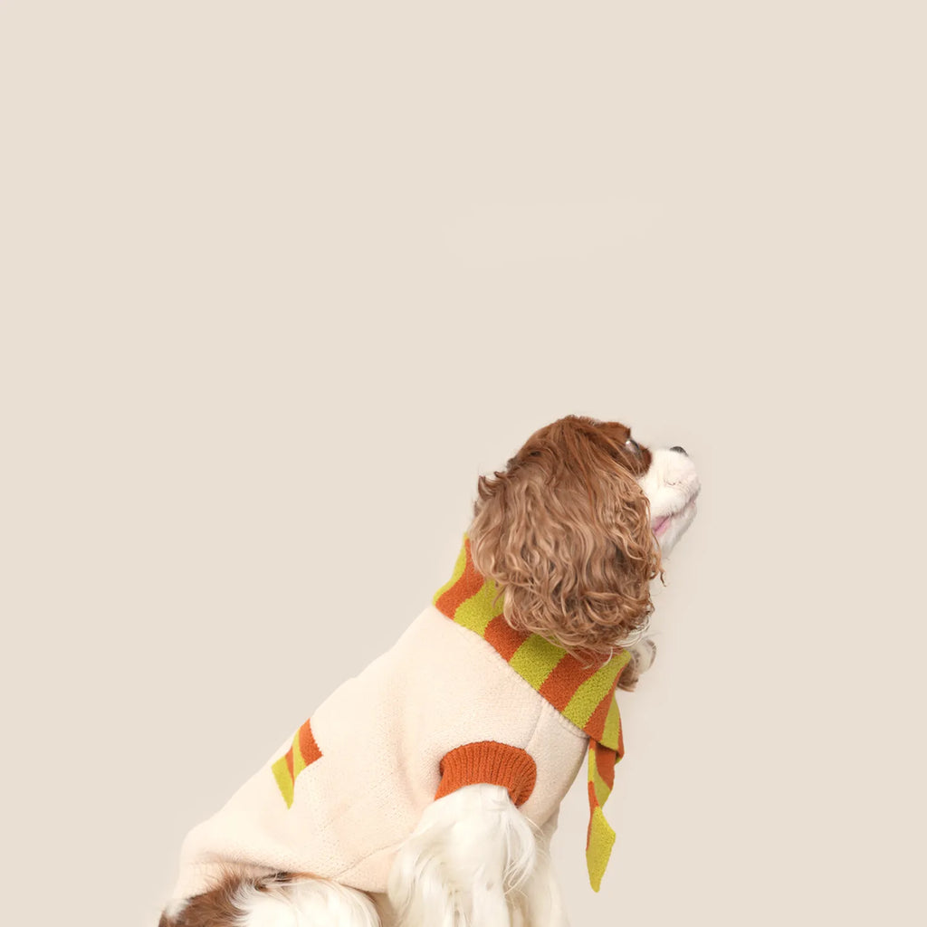 Side view of the cream dog sweater and matching striped scarf