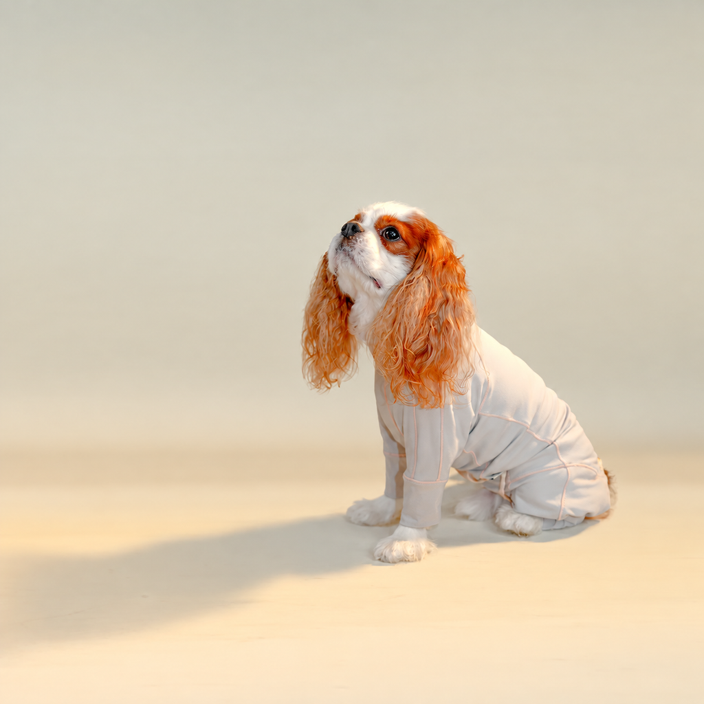 Gray dog jumpsuit with apricot contrast seams
