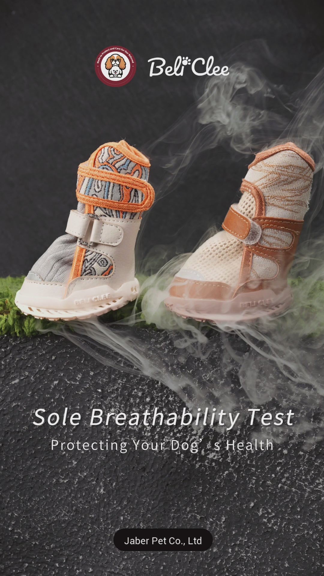 Beli Clee CityLuxury Firework Lucky Orange dog shoes — product video