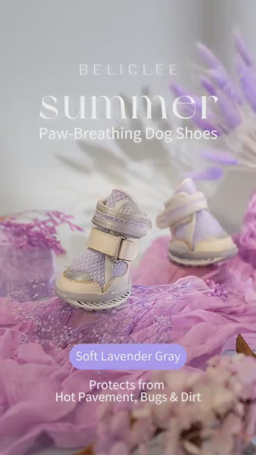 Beli Clee 薰衣草灰 dog shoe product video