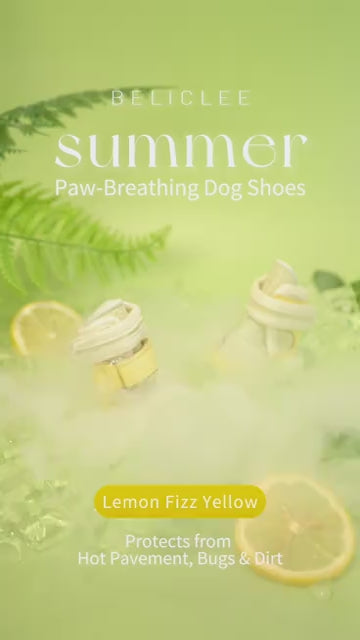 Beli Clee 柠檬黄 dog shoe product video